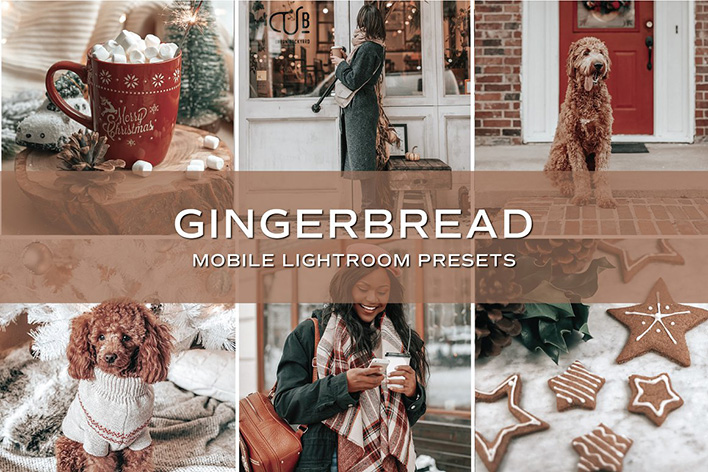 10 پریست لایت روم حرفه ای تم رنگی رنجبیل Gingerbread Lightroom Presets