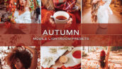 10 پریست لایت روم حرفه ای پاییز Autumn Lightroom Presets