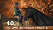 10 پریست پاییزی لایت روم حرفه ای Autumn Lightroom Presets