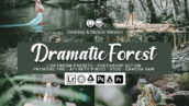 20 پریست لایت روم حرفه ای تم جنگل دراماتیک Dramatic Forest Presets