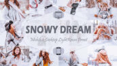 20 پریست لایت روم زمستان تم رویای برفی Snowy Dream Winter Lightroom Presets