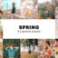 8 پریست لایت روم بهار دسکتاپ و موبایل Spring Lightroom Presets