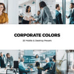 20 پریست لایت روم و لات رنگی تم شرکت Corporate Colors Lightroom Preset
