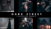 30 پریست لایت روم و پریست کمراراو تم خیابان تاریک Dark street presets