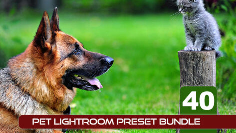 40 پریست لایت روم حرفه ای حیوانات خانگی Pet Lightroom Preset Bundle