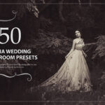 50 پریست لایت روم حرفه ای عروسی افکت قهوه ای Sepia Wedding Lightroom Presets