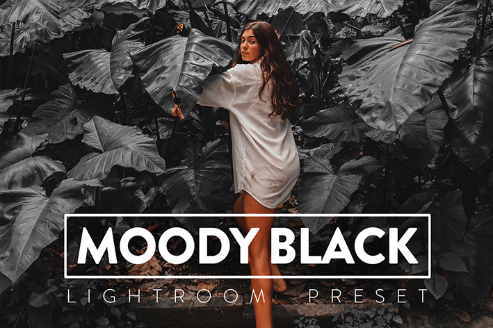 30 پریست لایت روم و پریست کمرا راو فتوشاپ تم تیره Moody Black Lightroom Presets