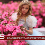 35 پریست لایت روم حرفه ای پرتره تم نارنجی Orange Portrait Effect Presets