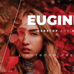 20 پریست رنگی پرتره حرفه ای لایت روم Euginia Lightroom Preset