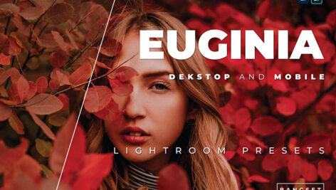 20 پریست رنگی پرتره حرفه ای لایت روم Euginia Lightroom Preset