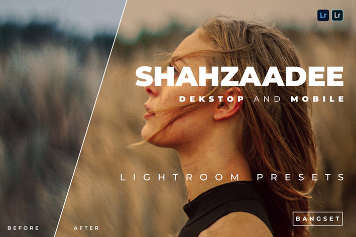 20 پریست لایت روم پرتره حرفه ای جدید Shahzaadee Lightroom Preset