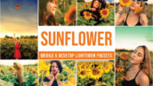 30 پریست رنگی لایت روم تم گل آفتابگردان Sunflower Lightroom Presets