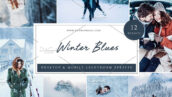 36 پریست لایت روم زمستانی تم زمستان آبی Winter Blues Lightroom Presets