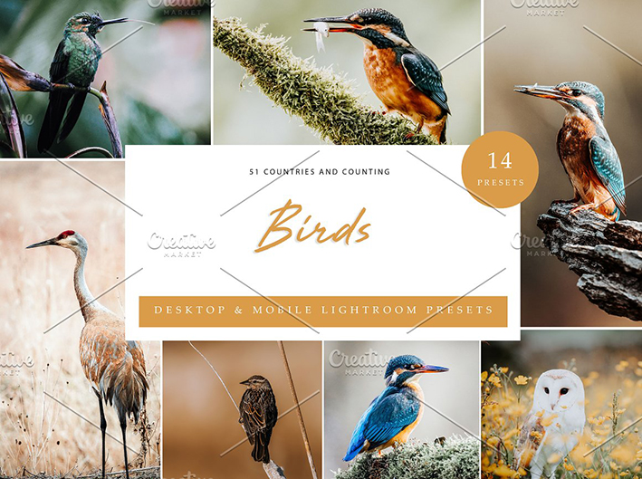 42 پریست لایت روم حرفه ای پرندگان و حیوانات Birds Lightroom Presets
