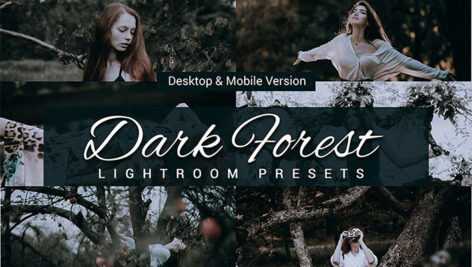 80 پریست لایت روم و کمرا راو و اکشن فتوشاپ و لات رنگی Dark Forest Lightroom Presets
