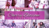 80 پریست لایت روم و کمرا راو و اکشن فتوشاپ و لات رنگی تم شکوفه گیلاس Cherry Blossom Lightroom Presets