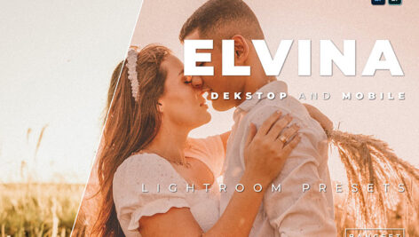 دانلود 20 پریست رنگی حرفه ای لایت روم Elvina Lightroom Preset