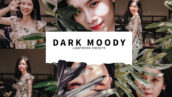 10 پریست لایت روم پرتره حرفه ای Dark Moody Lightroom Presets