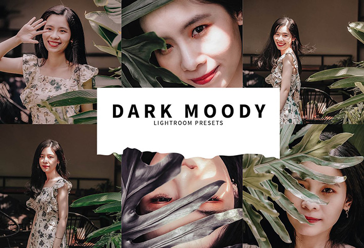 10 پریست لایت روم پرتره حرفه ای Dark Moody Lightroom Presets