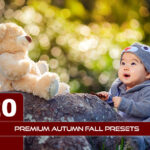 20 پریست لایت روم 2021 فصل پاییز Premium Autumn Fall Presets