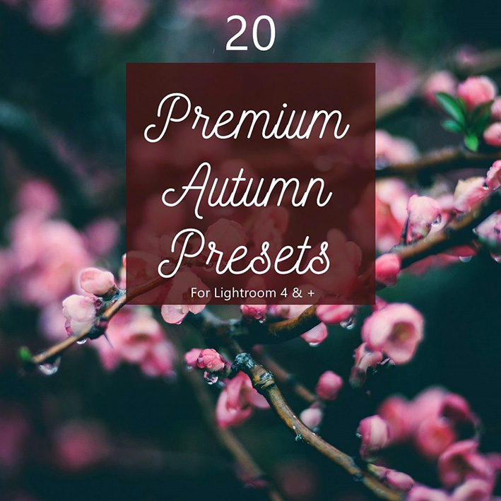 20 پریست لایت روم 2021 فصل پاییز Premium Autumn Fall Presets