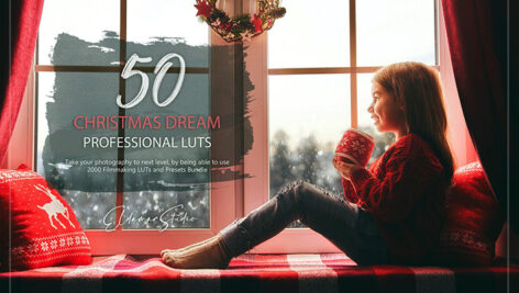 150 پریست لایت روم حرفه ای و LUTs رنگی کریسمس Christmas Dream LUTs and Presets Pack