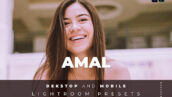 20 افکت رنگی لایت روم دسکتاپ و موبایل Amal Lightroom Preset