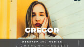 20 افکت رنگی لایت روم دسکتاپ و موبایل Gregor Lightroom Preset