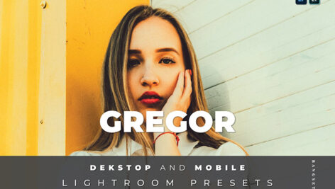 20 افکت رنگی لایت روم دسکتاپ و موبایل Gregor Lightroom Preset
