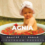 20 پریست لایت روم رنگی تم زرد Agnia Lightroom Preset