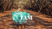 20 پریست لایت روم رنگی حرفه ای Tam Lightroom Presets