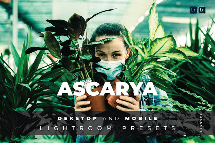 20 پریست لایت روم رنگی عکس پرتره Ascarya Lightroom Preset