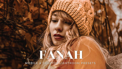 20 پریست لایت روم عکس سلفی Fanah Lightroom Presets