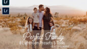 پکیج پریست لایت روم حرفه ای عکس خانوادگی Perfect Family Lightroom Presets