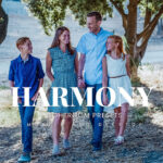 20 پریست لایت روم رنگی حرفه ای Harmony Lightroom Presets