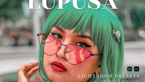 20 پریست لایت روم رنگی حرفه ای Lupusa Lightroom Presets