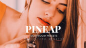20 پریست لایت روم رنگی حرفه ای Pineap Lightroom Presets