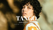 20 پریست لایت روم رنگی حرفه ای Tango Lightroom Presets