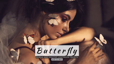 20 پریست لایت روم رنگی حرفه ای تم پروانه Butterfly Lightroom Presets