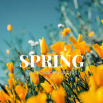 20 پریست لایت روم رنگی حرفه ای فصل بهار Spring Lightroom Presets