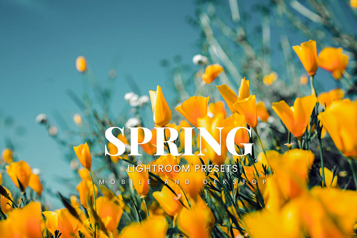 20 پریست لایت روم رنگی حرفه ای فصل بهار Spring Lightroom Presets