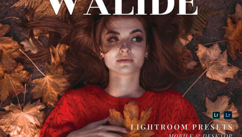 20 پریست لایت روم پرتره حرفه ای Walide Lightroom Presets