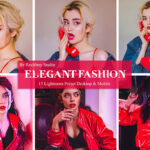 30 پریست لایت روم حرفه ای عکس فشن Elegant Fashion Lightroom Presets