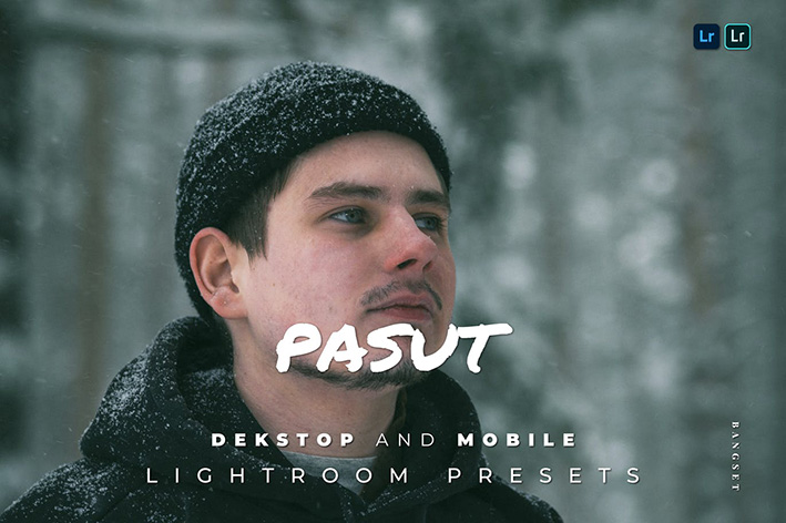 20 پریست لایت روم پرتره حرفه ای تم سینمایی Pasut Lightroom Preset