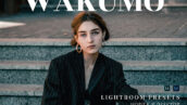 20 پریست لایت روم پرتره حرفه ای تم فشن Wakumo Lightroom Presets