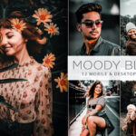 36 پریست لایت روم حرفه ای 2021 سینمایی Moody Black Lightroom Presets