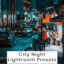 10 پریست لایت روم رنگی 2022 حرفه ای تم شهر در شب City Night Lightroom Presets