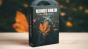 16 پریست لایت روم حرفه ای تم سبز تیره Moody Dark Green Lightroom Presets