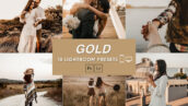 30 پریست لایت روم تم طلایی 2022 جدید Gold Brown Lightroom Presets