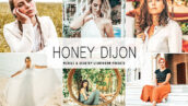 40 پریست لایت روم پرتره و پریست کمرا راو و اکشن فتوشاپ Honey Dijon Lightroom Presets